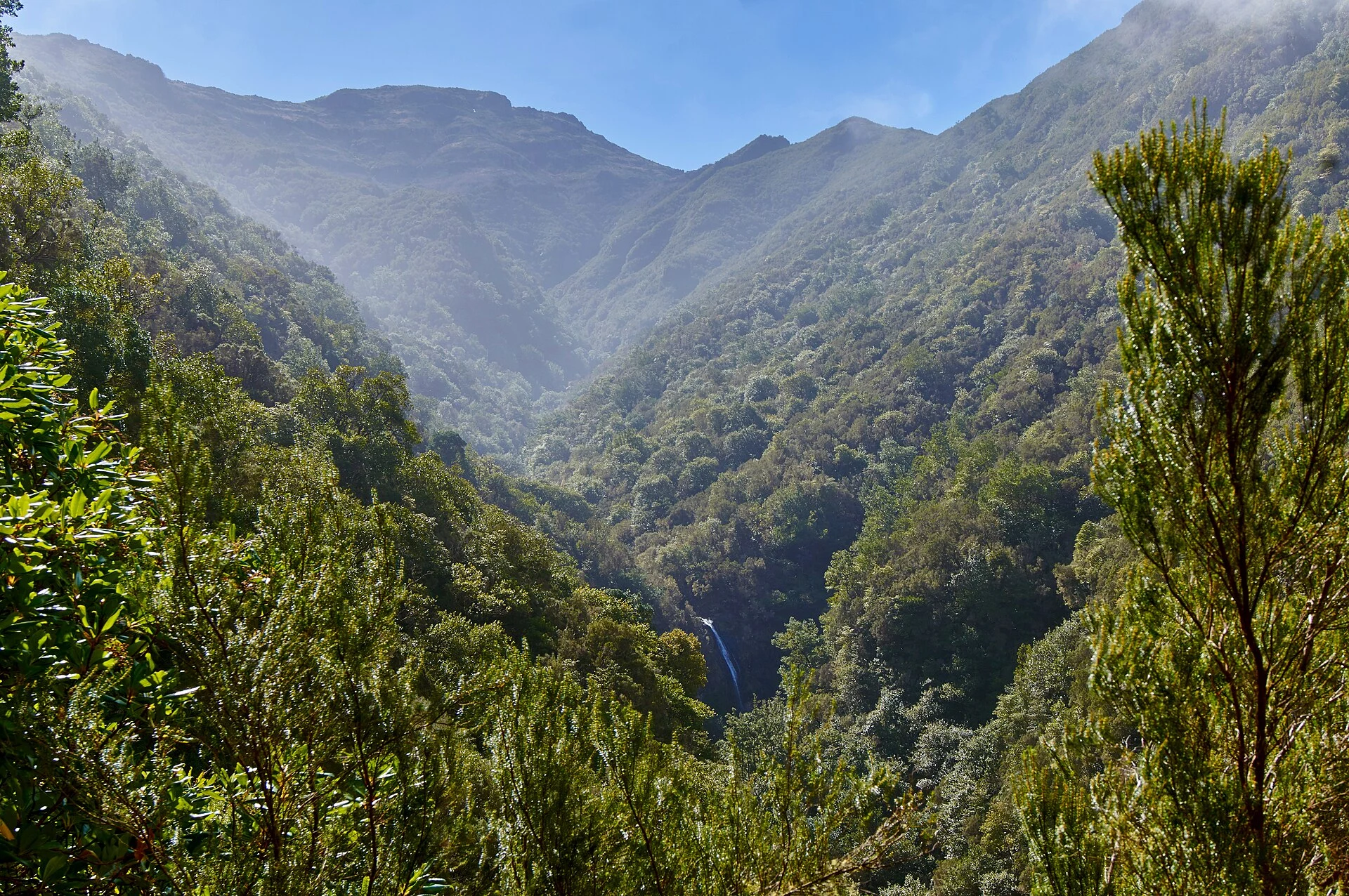 Levadas da Madeira