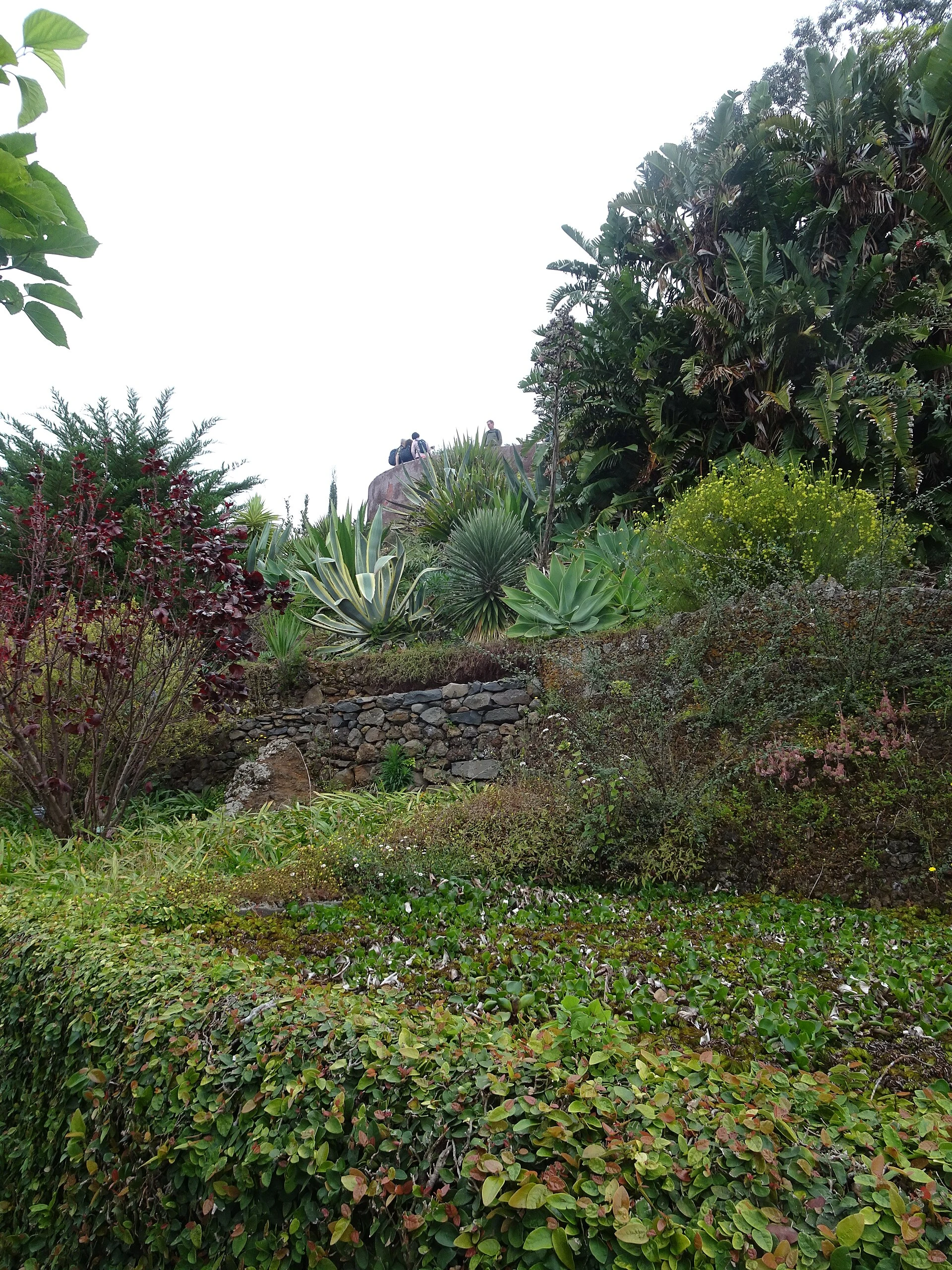 Jardim Botânico da Madeira