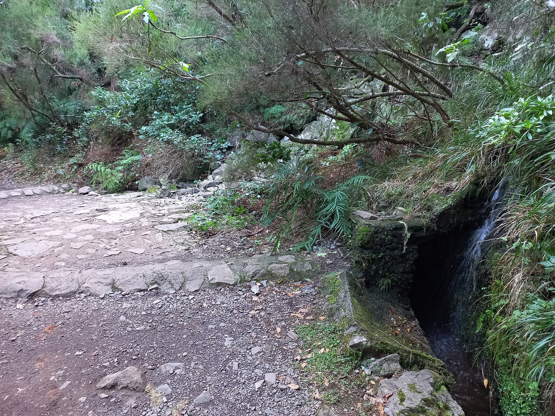 Levadas e veredas da Madeira