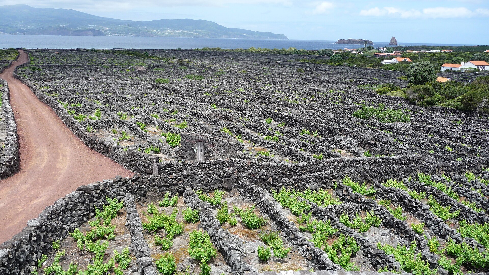 Trilhos dos Açores
