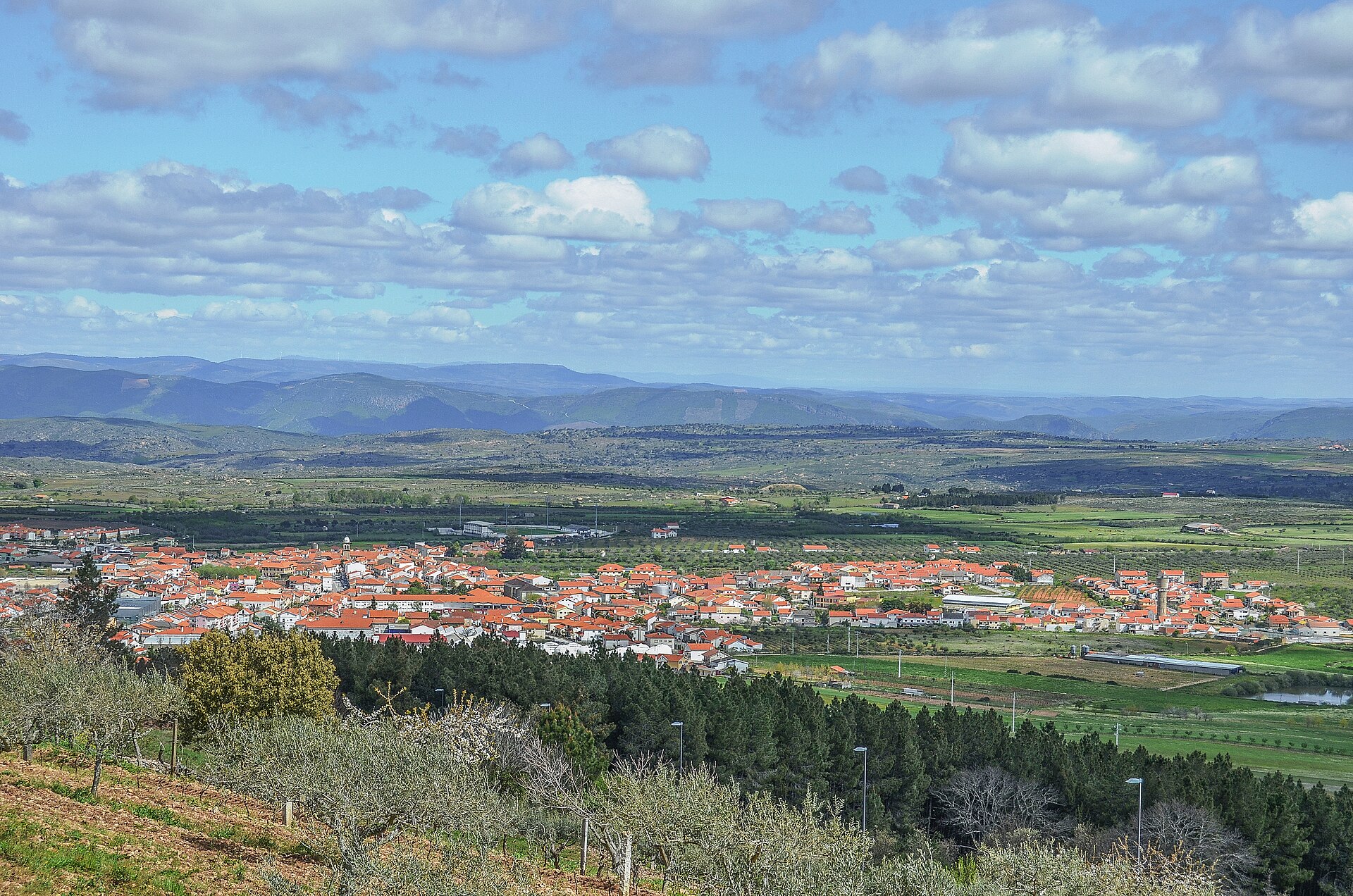 Figueira de Castelo Rodrigo