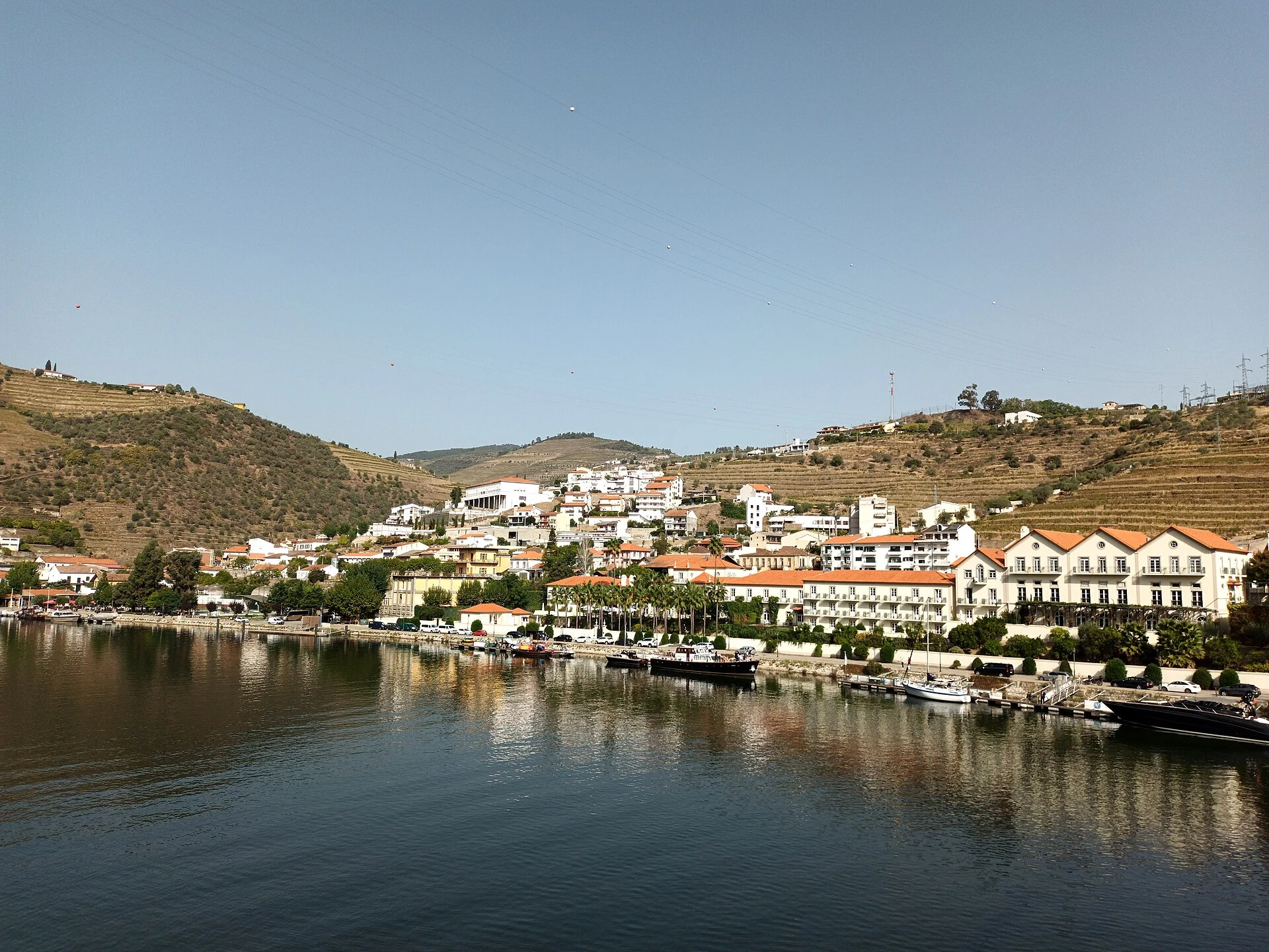 Pinhão