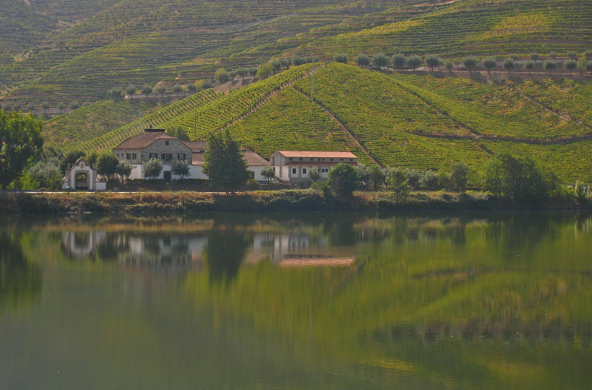 Estrada Nacional 222 e Douro