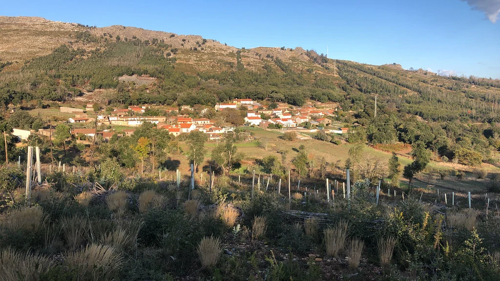 Ferraria de São João