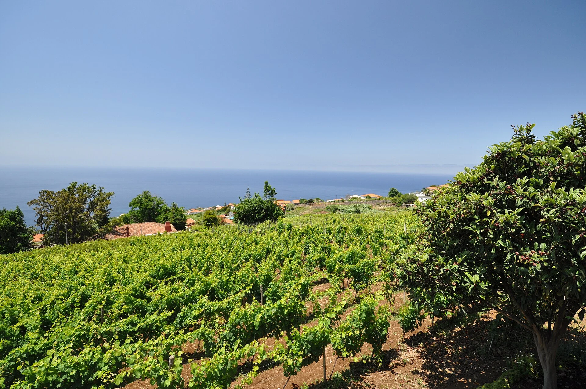 Estreito da Calheta