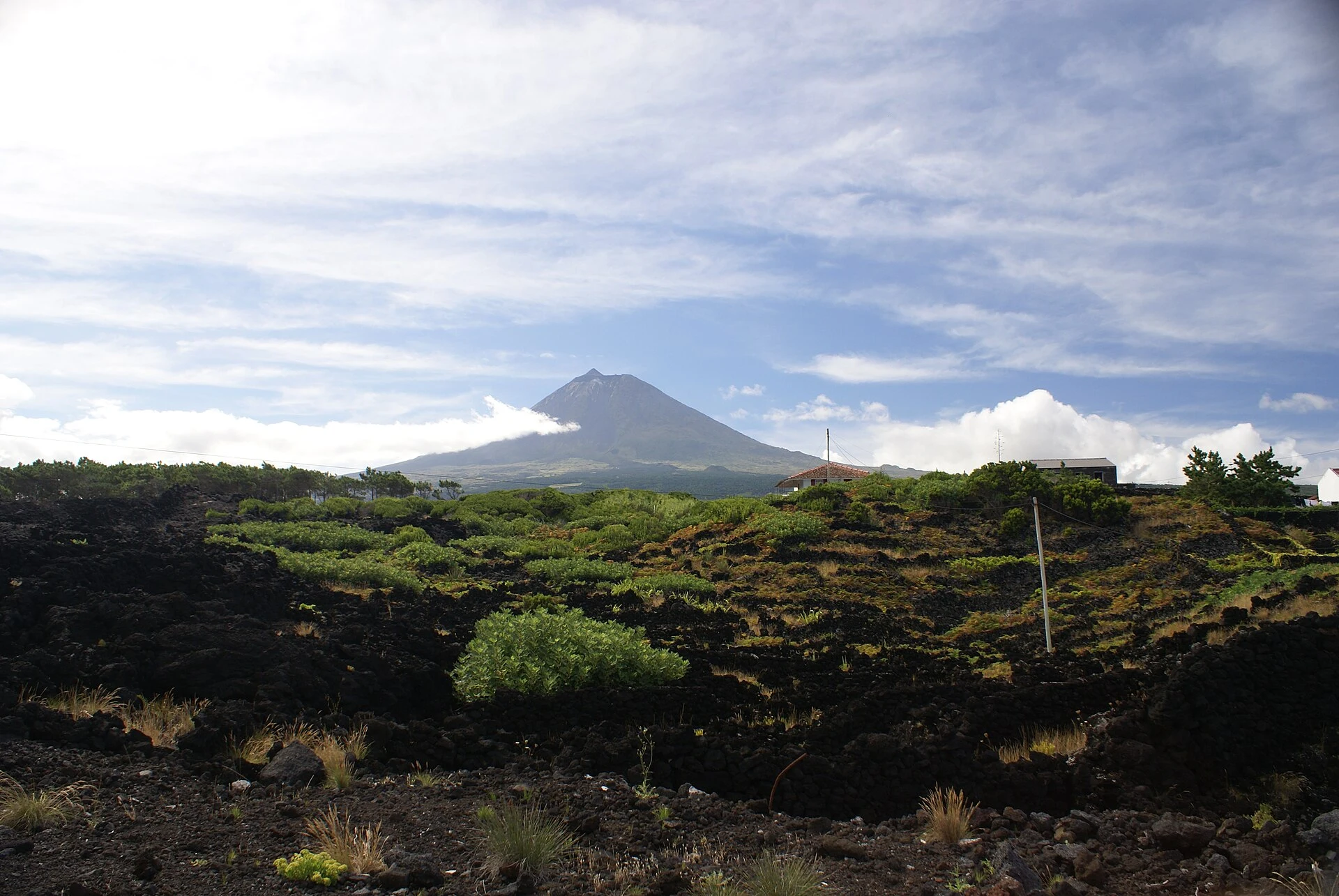 Lajido